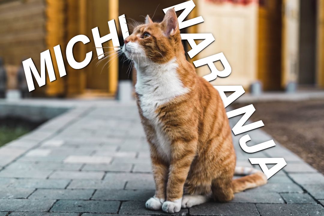 Demostración de efectos creativos con texto detrás del sujeto